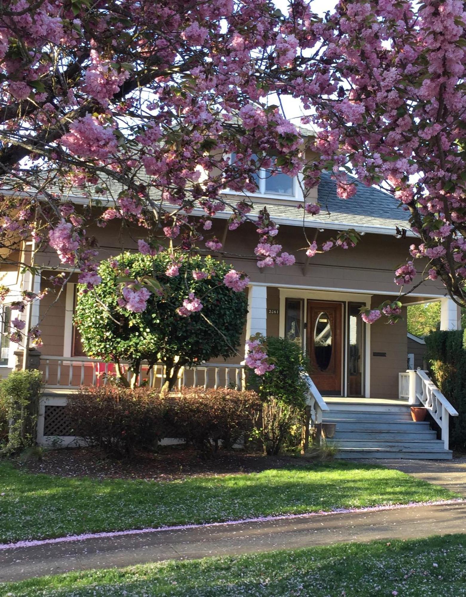 Southeast Portland Comfy & Eclectic Craftsman Home Bagian luar foto